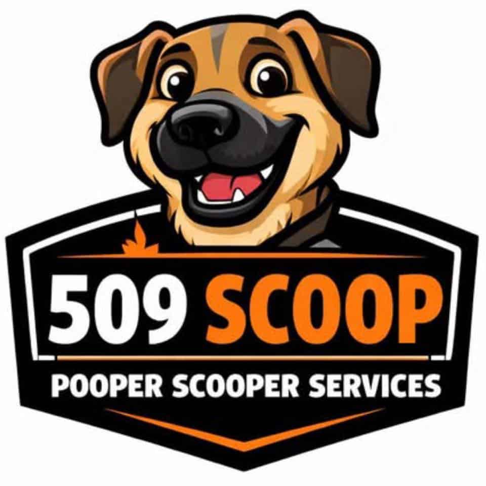 509 scoop logo